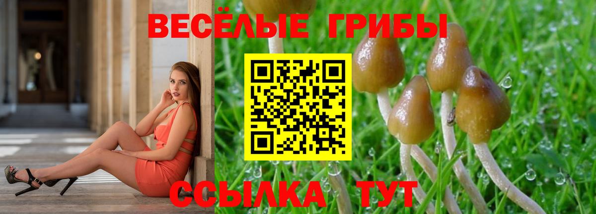 Галлюциногенные грибы GOLDEN TEACHER Саратов